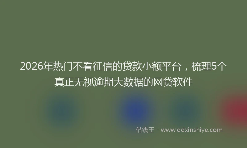 2026年热门不看征信的贷款小额平台，梳理5个真正无视逾期大数据的网贷软件