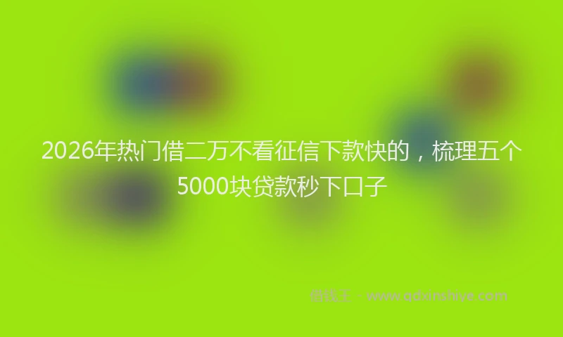 2026年热门借二万不看征信下款快的，梳理五个5000块贷款秒下口子