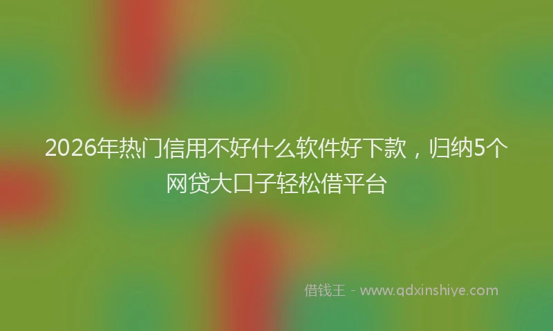 2026年热门信用不好什么软件好下款，归纳5个网贷大口子轻松借平台