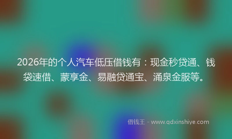 2026年的个人汽车低压借钱有：现金秒贷通、钱袋速借、蒙享金、易融贷通宝、涌泉金服等。