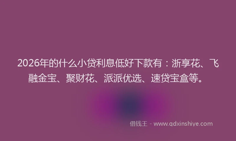 2026年的什么小贷利息低好下款有：浙享花、飞融金宝、聚财花、派派优选、速贷宝盒等。