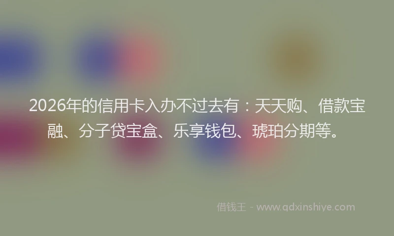 2026年的信用卡入办不过去有：天天购、借款宝融、分子贷宝盒、乐享钱包、琥珀分期等。