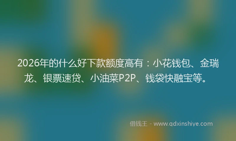 2026年的什么好下款额度高有：小花钱包、金瑞龙、银票速贷、小油菜P2P、钱袋快融宝等。
