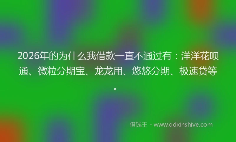 2026年的为什么我借款一直不通过有：洋洋花呗通、微粒分期宝、龙龙用、悠悠分期、极速贷等。