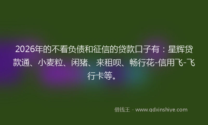 2026年的不看负债和征信的贷款口子有：星辉贷款通、小麦粒、闲猪、来租呗、畅行花-信用飞-飞行卡等。