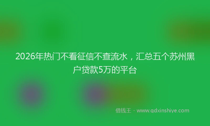 2026年热门不看征信不查流水，汇总五个苏州黑户贷款5万的平台