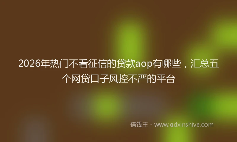 2026年热门不看征信的贷款aop有哪些，汇总五个网贷口子风控不严的平台