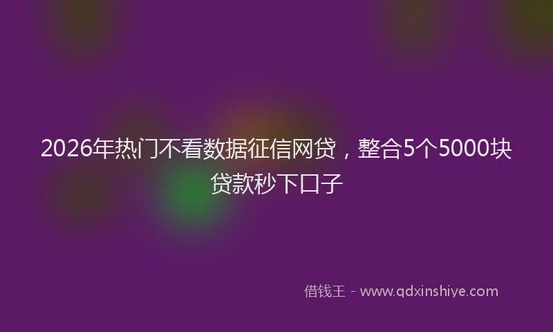 2026年热门不看数据征信网贷，整合5个5000块贷款秒下口子
