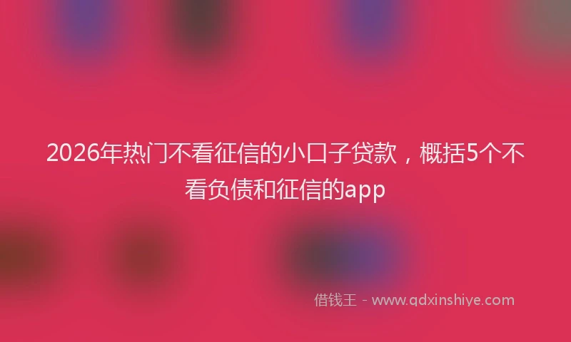 2026年热门不看征信的小口子贷款，概括5个不看负债和征信的app