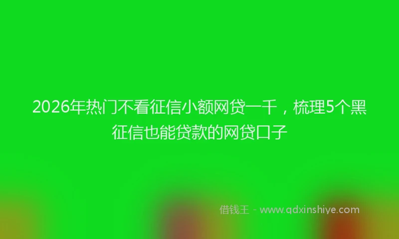 2026年热门不看征信小额网贷一千，梳理5个黑征信也能贷款的网贷口子