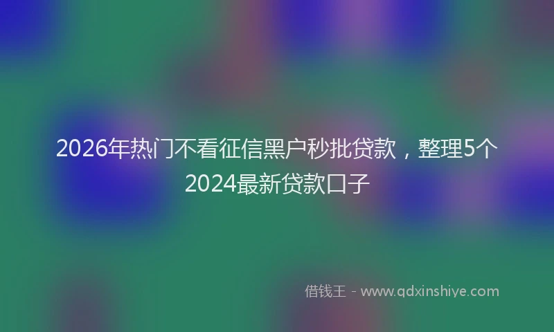 2026年热门不看征信黑户秒批贷款，整理5个2024最新贷款口子