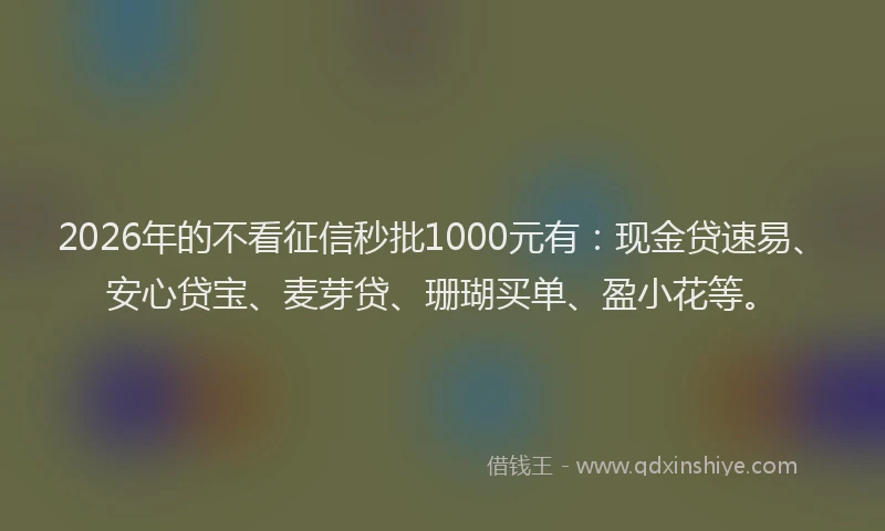 2026年的不看征信秒批1000元有：现金贷速易、安心贷宝、麦芽贷、珊瑚买单、盈小花等。
