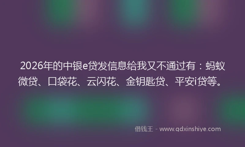 2026年的中银e贷发信息给我又不通过有：蚂蚁微贷、口袋花、云闪花、金钥匙贷、平安i贷等。