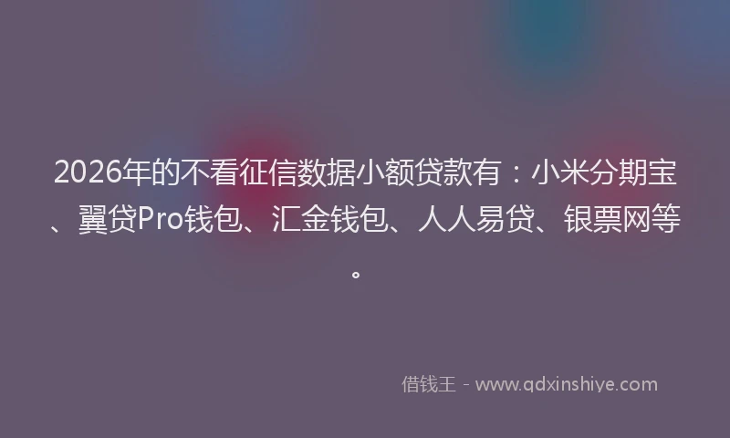 2026年的不看征信数据小额贷款有：小米分期宝、翼贷Pro钱包、汇金钱包、人人易贷、银票网等。