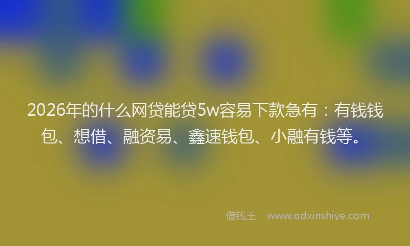 2026年的什么网贷能贷5w容易下款急有：有钱钱包、想借、融资易、鑫速钱包、小融有钱等。