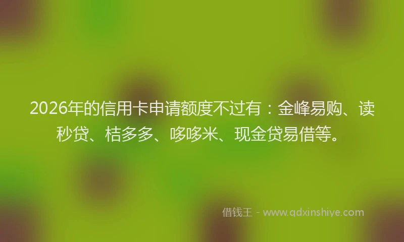 2026年的信用卡申请额度不过有：金峰易购、读秒贷、桔多多、哆哆米、现金贷易借等。