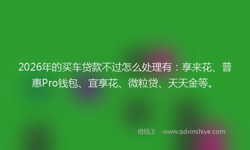 2026年的买车贷款不过怎么处理有：享来花、普惠Pro钱包、宜享花、微粒贷、天天金等。