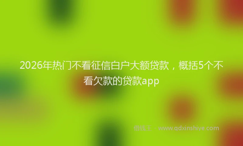 2026年热门不看征信白户大额贷款，概括5个不看欠款的贷款app
