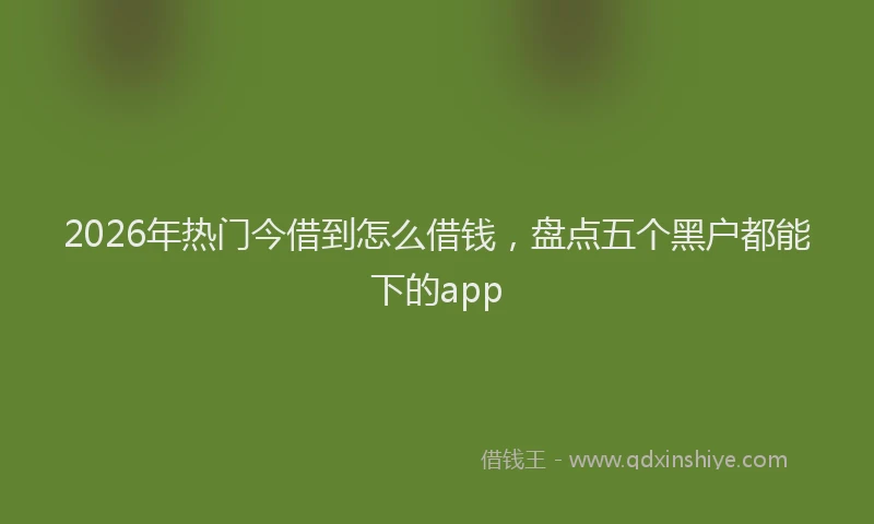 2026年热门今借到怎么借钱，盘点五个黑户都能下的app