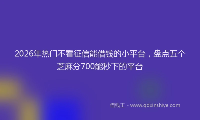 2026年热门不看征信能借钱的小平台，盘点五个芝麻分700能秒下的平台