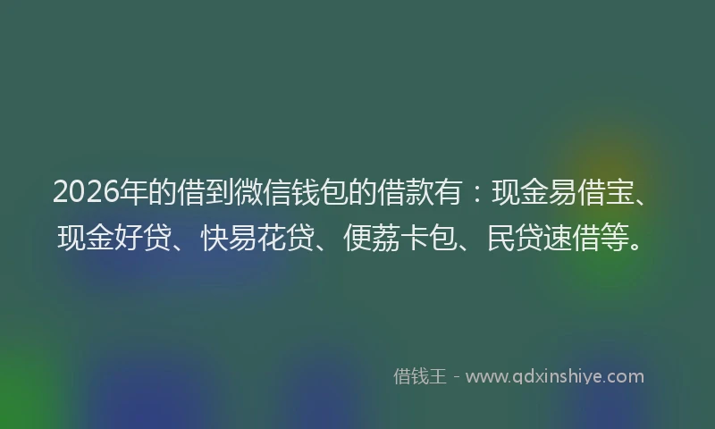 2026年的借到微信钱包的借款有：现金易借宝、现金好贷、快易花贷、便荔卡包、民贷速借等。