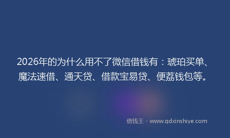 2026年的为什么用不了微信借钱有：琥珀买单、魔法速借、通天贷、借款宝易贷、便荔钱包等。