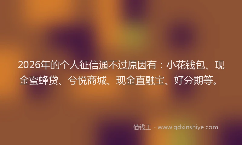 2026年的个人征信通不过原因有：小花钱包、现金蜜蜂贷、兮悦商城、现金直融宝、好分期等。