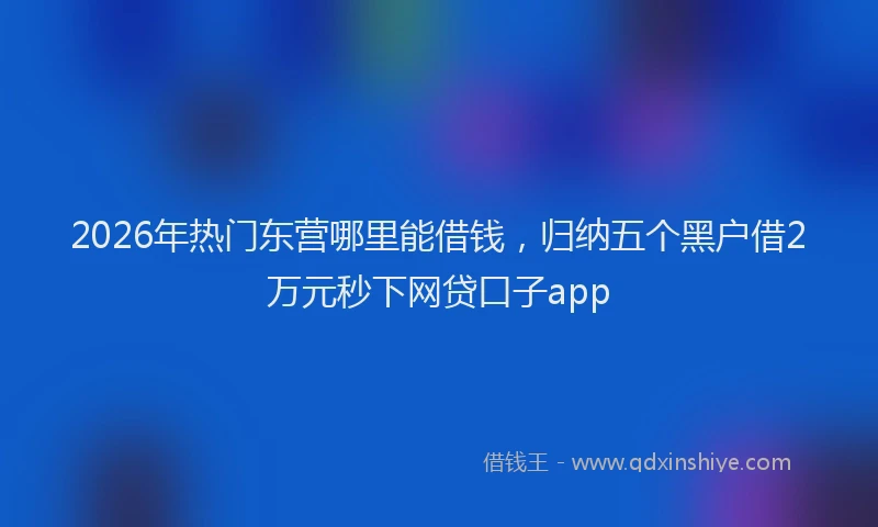 2026年热门东营哪里能借钱，归纳五个黑户借2万元秒下网贷口子app