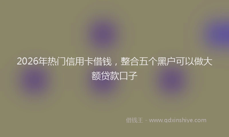 2026年热门信用卡借钱，整合五个黑户可以做大额贷款口子