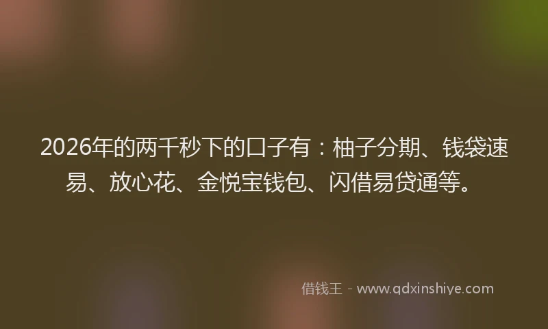 2026年的两千秒下的口子有：柚子分期、钱袋速易、放心花、金悦宝钱包、闪借易贷通等。