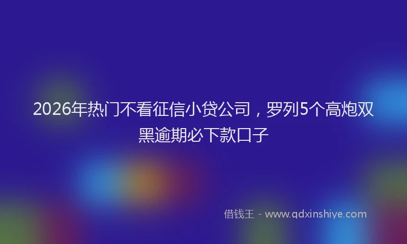 2026年热门不看征信小贷公司，罗列5个高炮双黑逾期必下款口子
