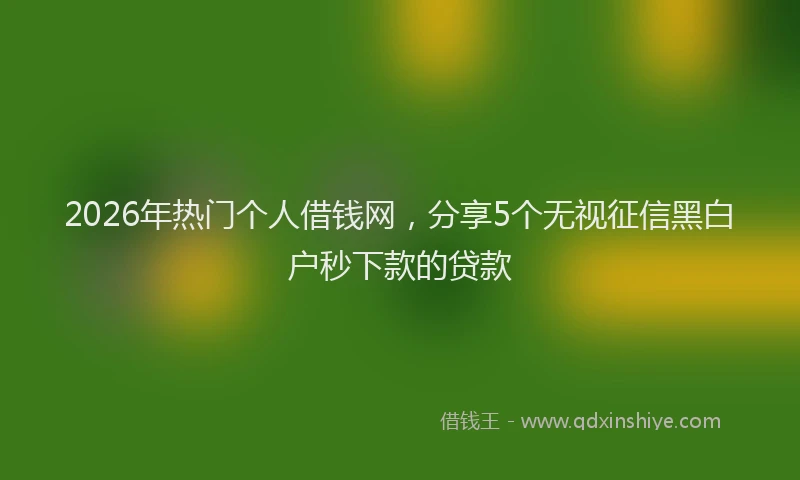 2026年热门个人借钱网，分享5个无视征信黑白户秒下款的贷款