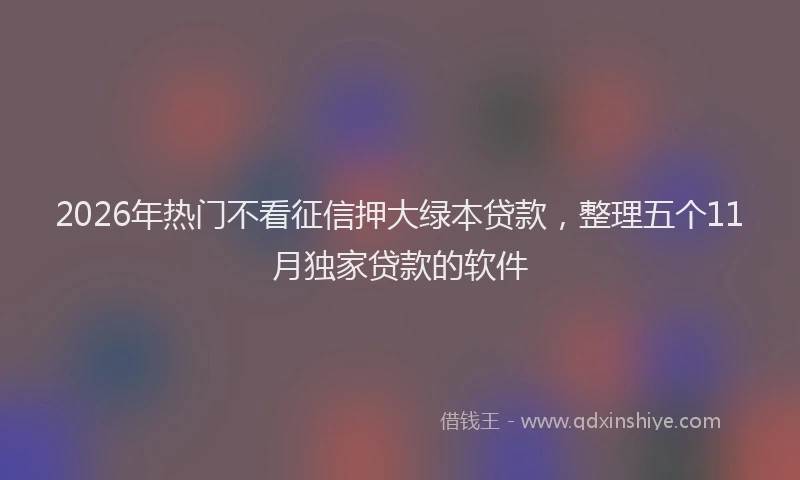 2026年热门不看征信押大绿本贷款，整理五个11月独家贷款的软件