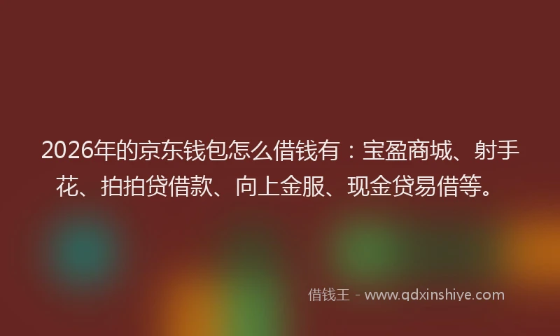 2026年的京东钱包怎么借钱有：宝盈商城、射手花、拍拍贷借款、向上金服、现金贷易借等。