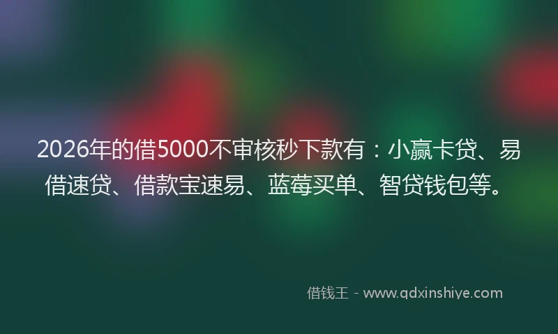2026年的借5000不审核秒下款有：小赢卡贷、易借速贷、借款宝速易、蓝莓买单、智贷钱包等。