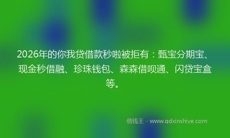 2026年的你我贷借款秒啦被拒有：甄宝分期宝、现金秒借融、珍珠钱包、森森借呗通、闪贷宝盒等。