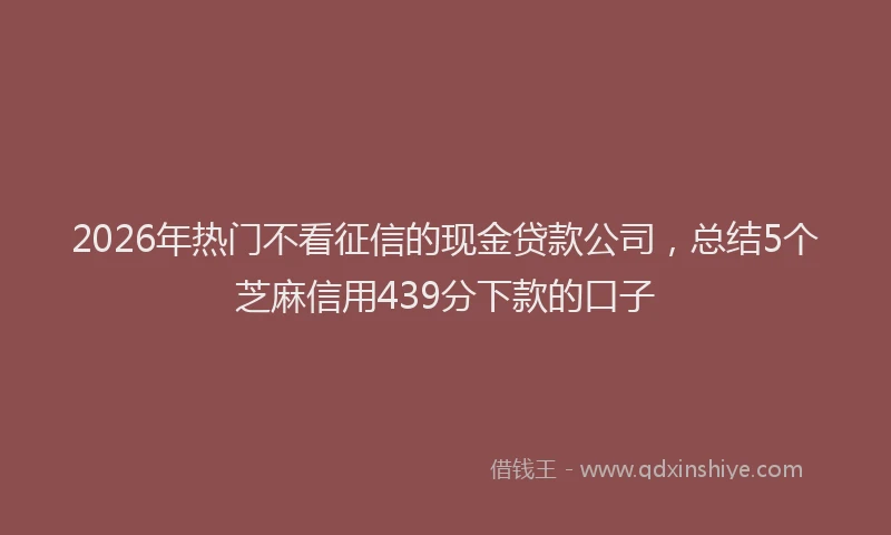 2026年热门不看征信的现金贷款公司，总结5个芝麻信用439分下款的口子