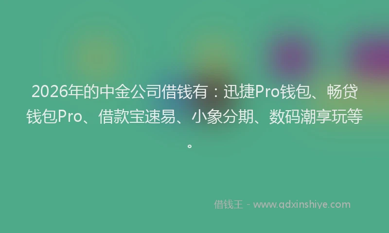 2026年的中金公司借钱有：迅捷Pro钱包、畅贷钱包Pro、借款宝速易、小象分期、数码潮享玩等。