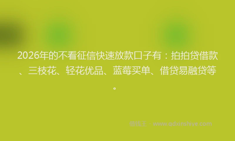 2026年的不看征信快速放款口子有：拍拍贷借款、三枝花、轻花优品、蓝莓买单、借贷易融贷等。