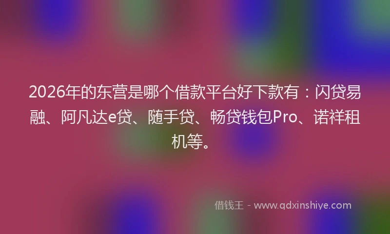 2026年的东营是哪个借款平台好下款有：闪贷易融、阿凡达e贷、随手贷、畅贷钱包Pro、诺祥租机等。