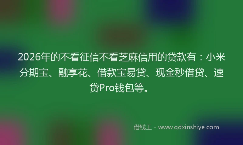 2026年的不看征信不看芝麻信用的贷款有：小米分期宝、融享花、借款宝易贷、现金秒借贷、速贷Pro钱包等。