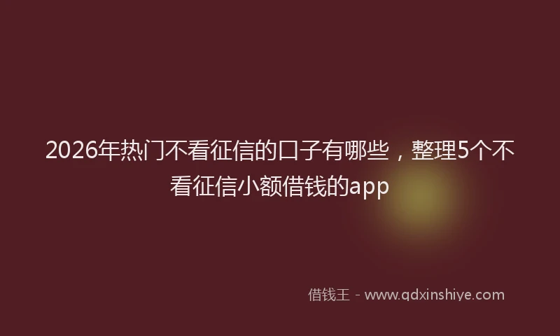 2026年热门不看征信的口子有哪些，整理5个不看征信小额借钱的app