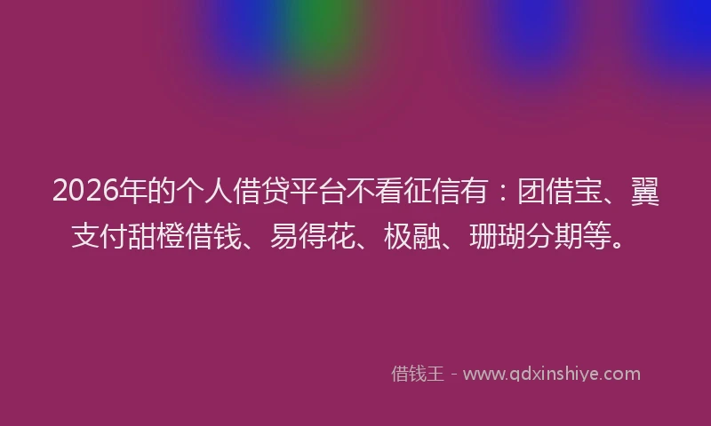 2026年的个人借贷平台不看征信有：团借宝、翼支付甜橙借钱、易得花、极融、珊瑚分期等。