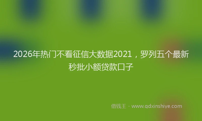 2026年热门不看征信大数据2021，罗列五个最新秒批小额贷款口子