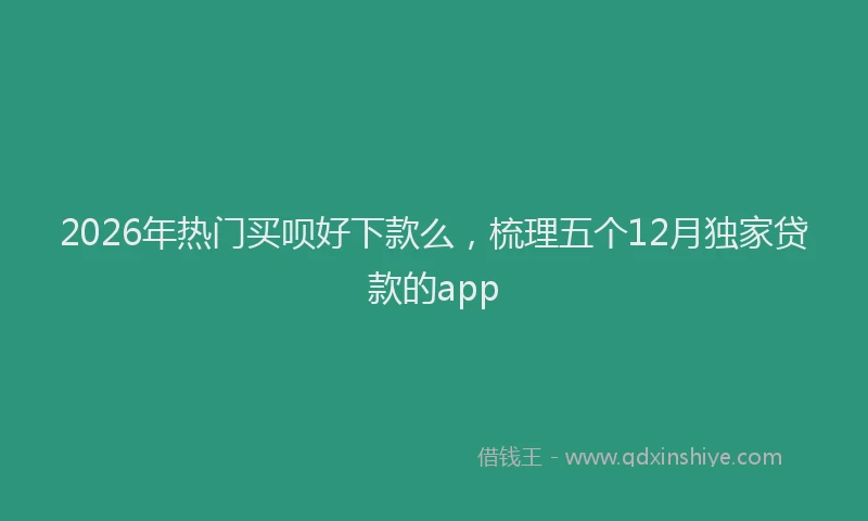 2026年热门买呗好下款么，梳理五个12月独家贷款的app