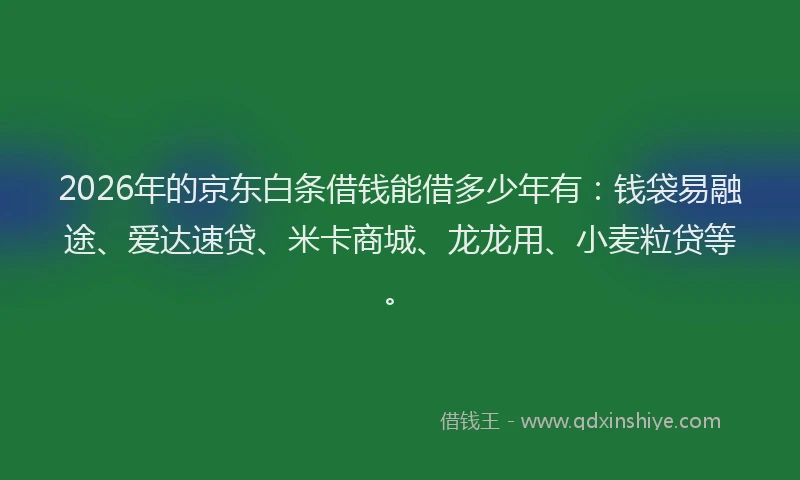 2026年的京东白条借钱能借多少年有：钱袋易融途、爱达速贷、米卡商城、龙龙用、小麦粒贷等。