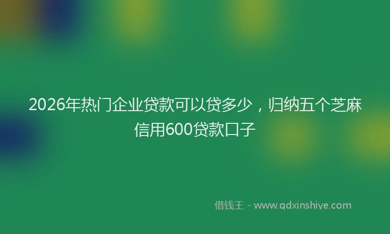 2026年热门企业贷款可以贷多少，归纳五个芝麻信用600贷款口子