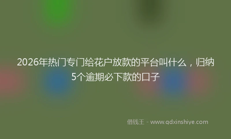 2026年热门专门给花户放款的平台叫什么，归纳5个逾期必下款的口子