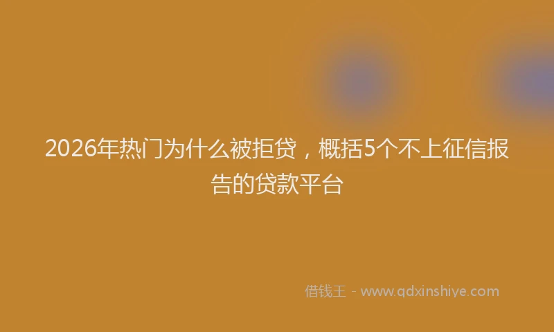 2026年热门为什么被拒贷，概括5个不上征信报告的贷款平台