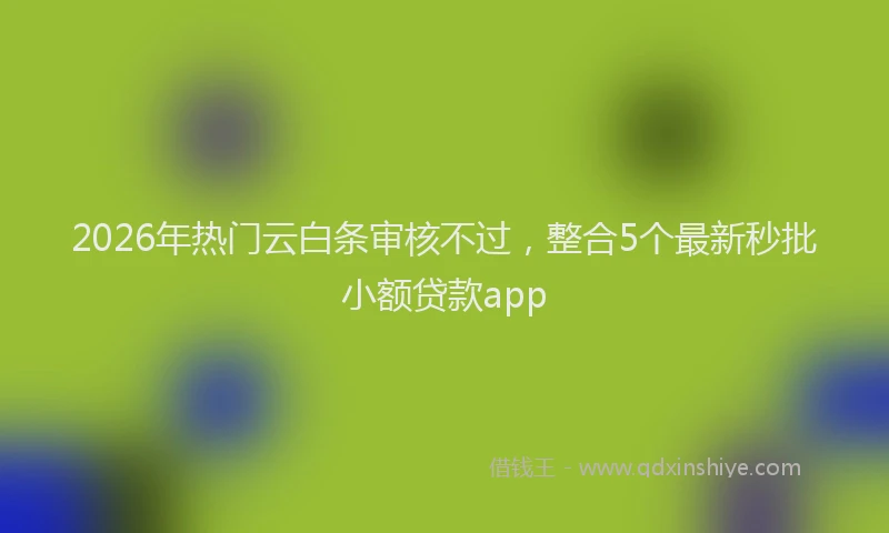2026年热门云白条审核不过，整合5个最新秒批小额贷款app